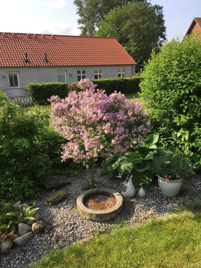 Appartamento Anneks Til Bondehus Randers Esterno foto